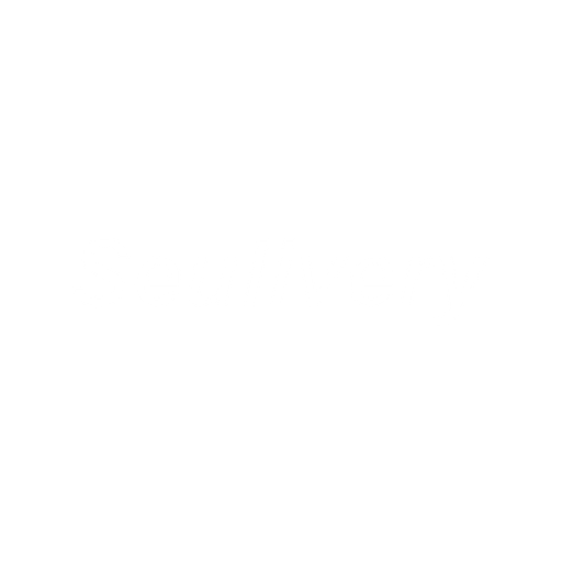 Seulivery